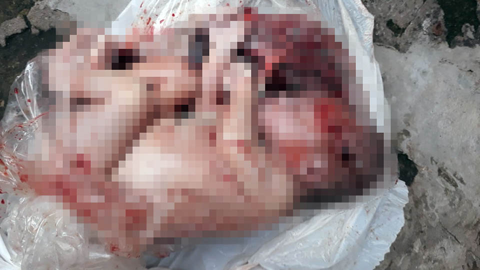 Recém-nascido é encontrado morto dentro de sacola de plástico em Caxias